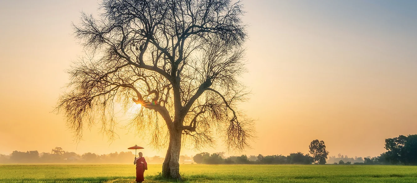 Monk with Tree in the Open Field